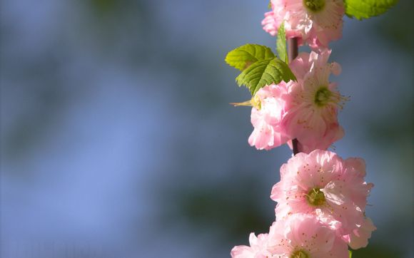 北京正规美容院排行榜